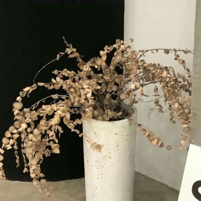 兽设故事创作思路福瑞交流群